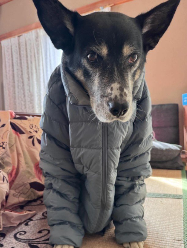 あからさまに嫌な顔に！