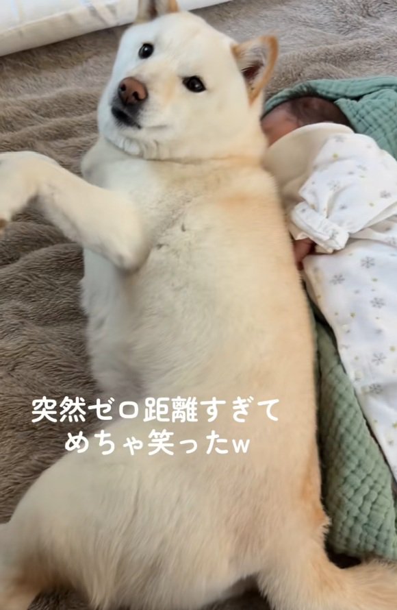 投稿者さんを見るカナちゃん