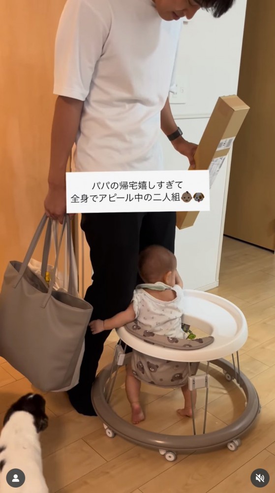 犬も近寄ってくる