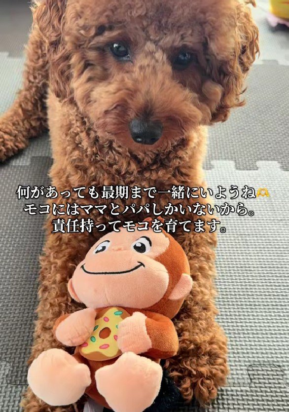 最期までずっと一緒に居よう