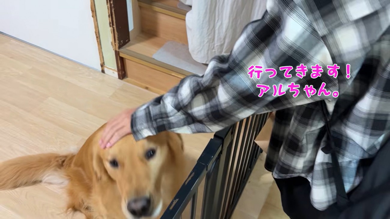 アルト君にさよならするお姉ちゃん