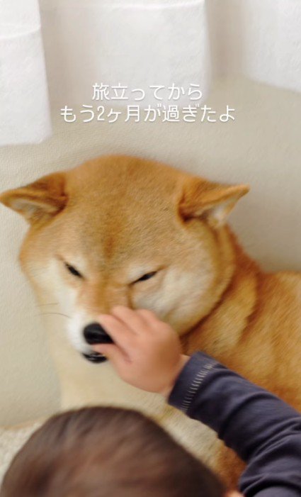 実感は湧かないけれど…