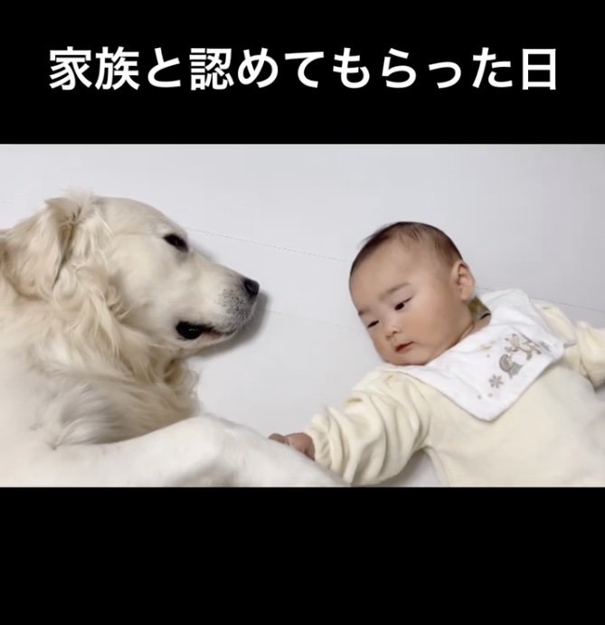 むうさんの手にも興味津々