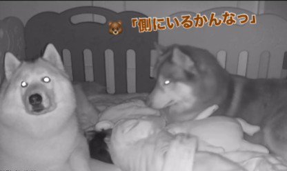 「ちゃんと寝てるよ」