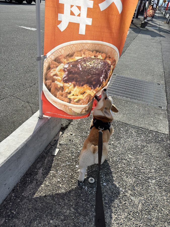 のぼり旗