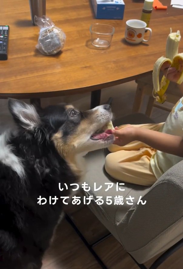 おすそわけする息子さん