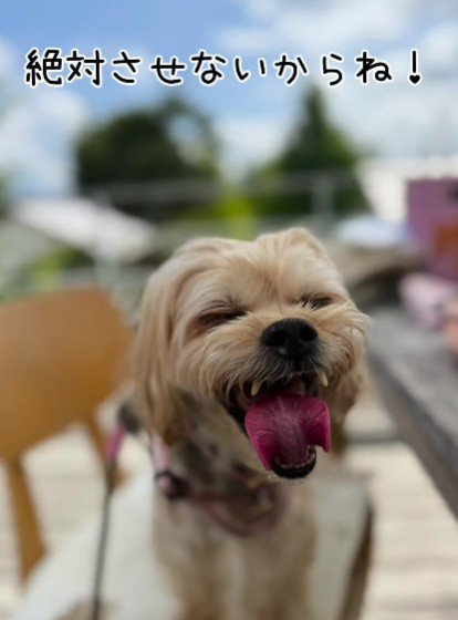 これからも幸せでいてね