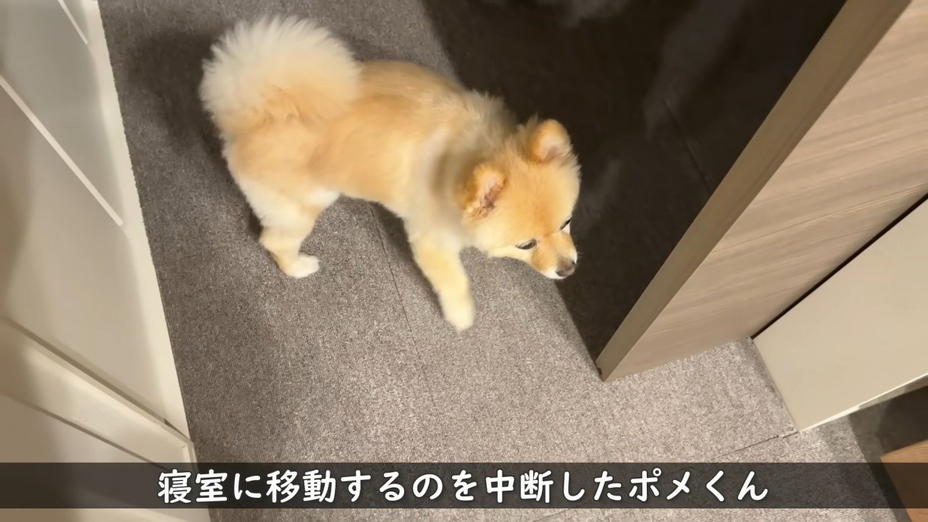 赤ちゃんがぐずり出したら…