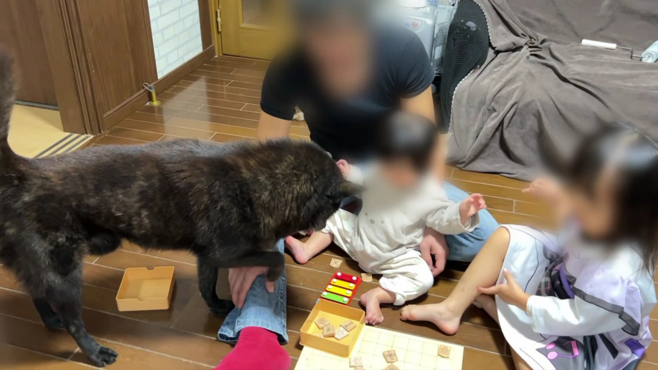 「これ大丈夫？」