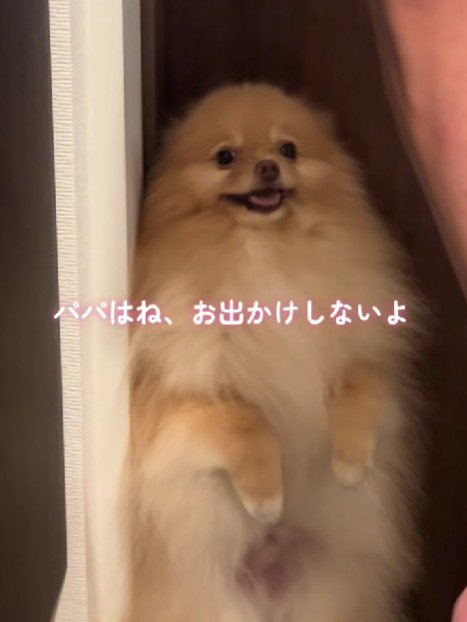 「出かけちゃダメ！！」