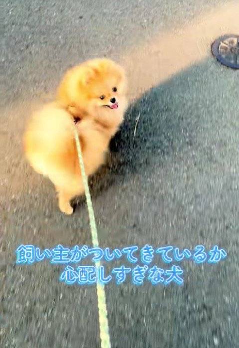 「着いて来てるよね？？」