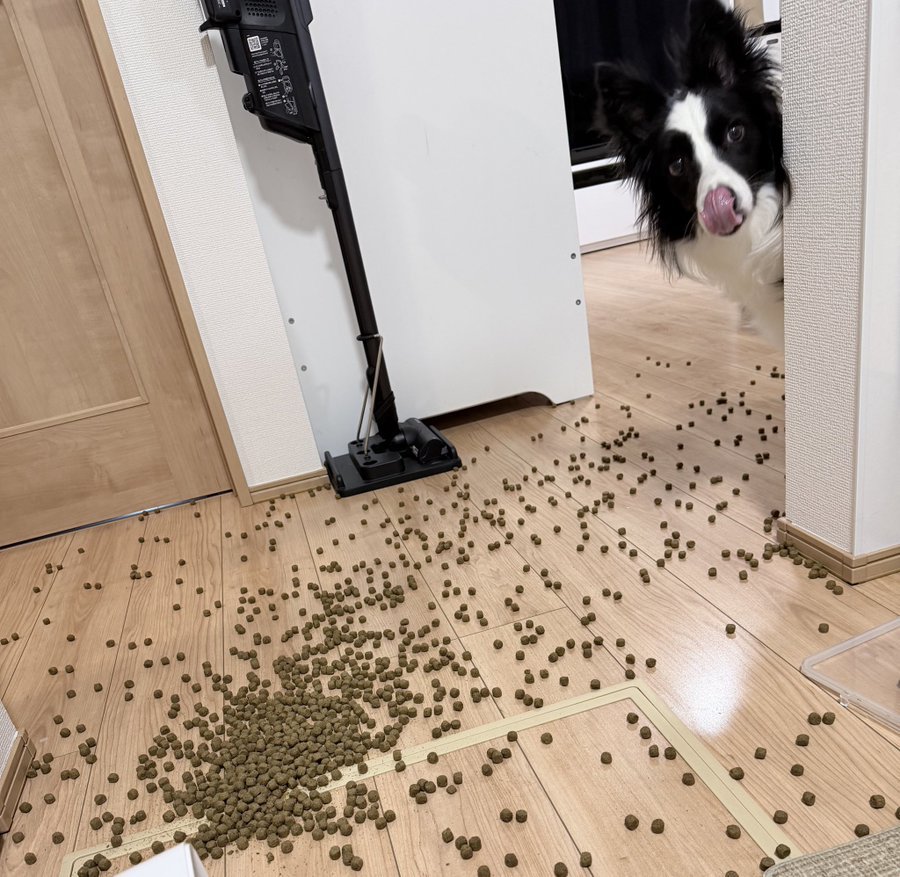 気持ちを落ち着かせないと…