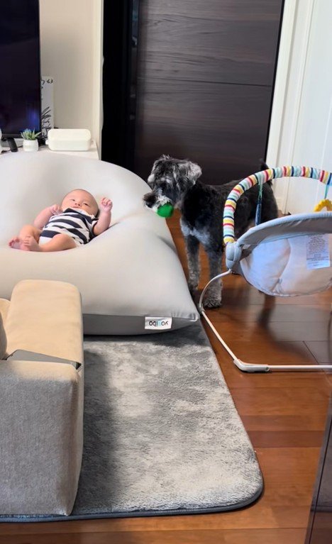 赤ちゃんを遊びに誘うらんちゃん3