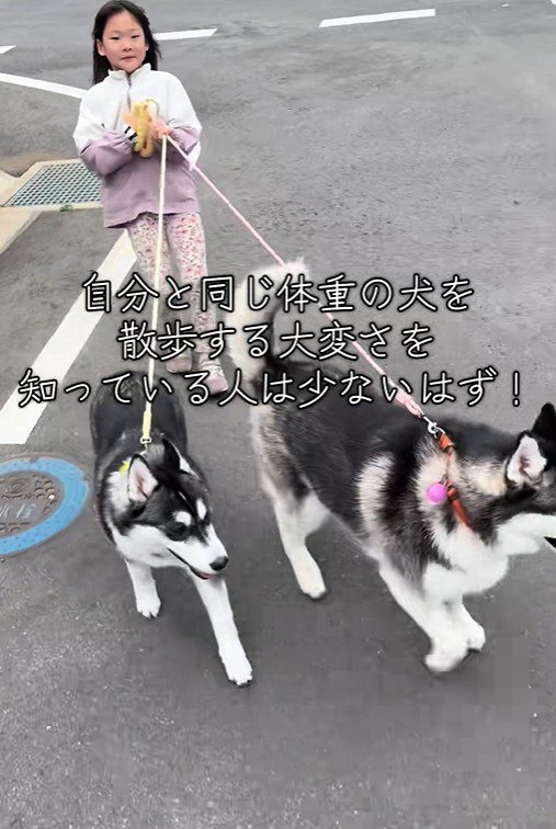 進むスピードをしっかりコントロール