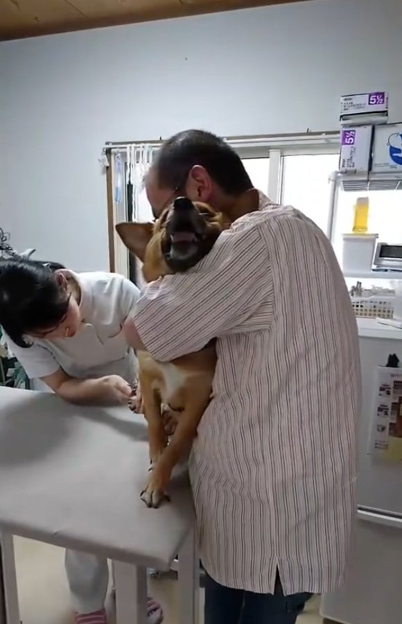 絶叫するわんこ