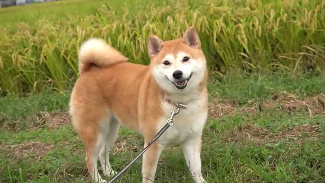 パパさんが一緒でニコニコ♪