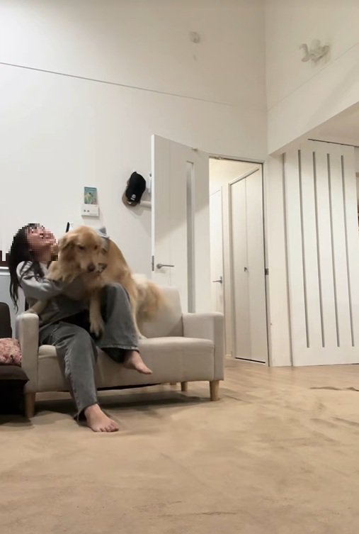 ハナコちゃんとお姉ちゃんの再会9