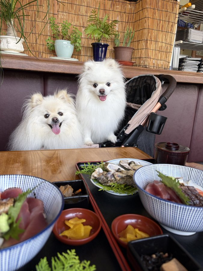お食事