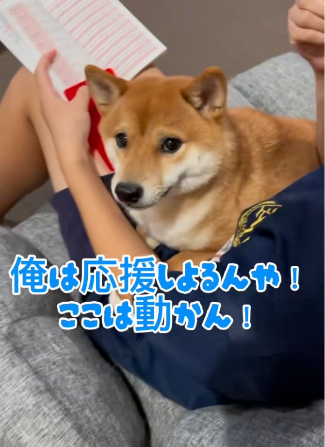 絶対に動かないなぎくん