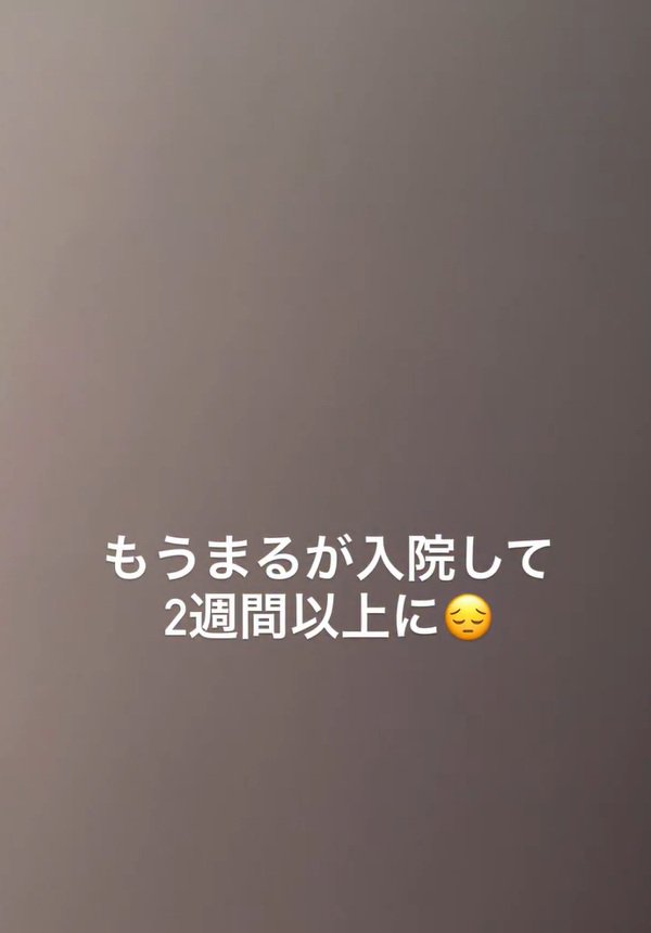 入院したまるちゃん