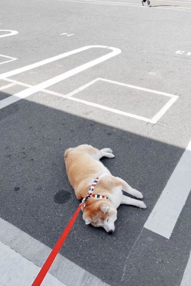 虚無の表情で、チキンを待つ