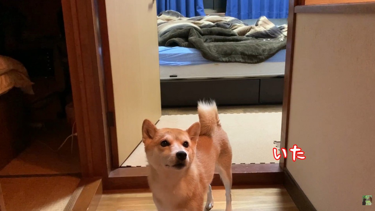 パパさんが戻ると…