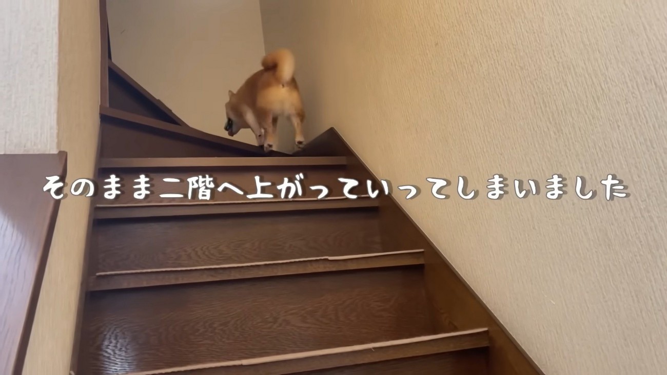 うにくんを呼び戻すと…