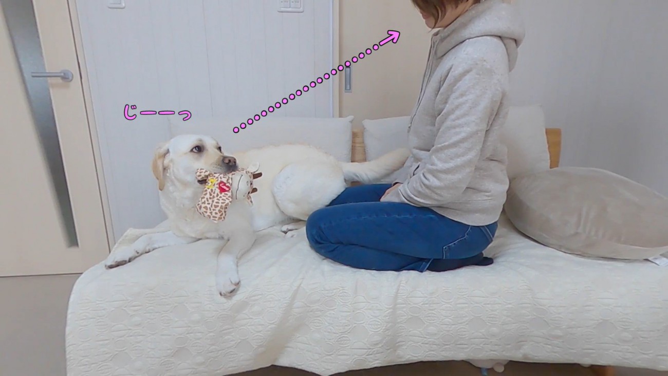 きなこちゃんとママさんの再会4