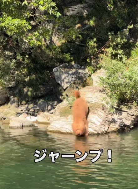 飛び込んだ！