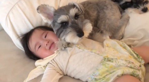 赤ちゃんを枕にするトトちゃん5