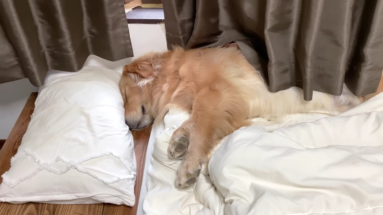 おばあちゃんが家に来て…