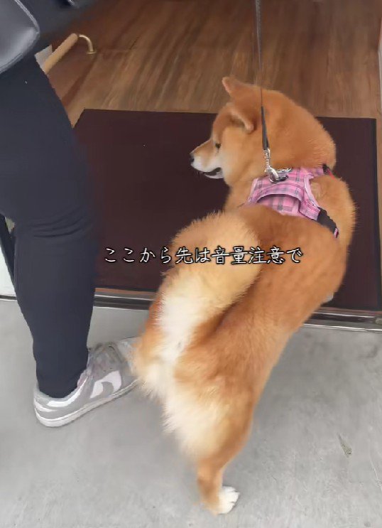 気持ちを切り替えて中へ！