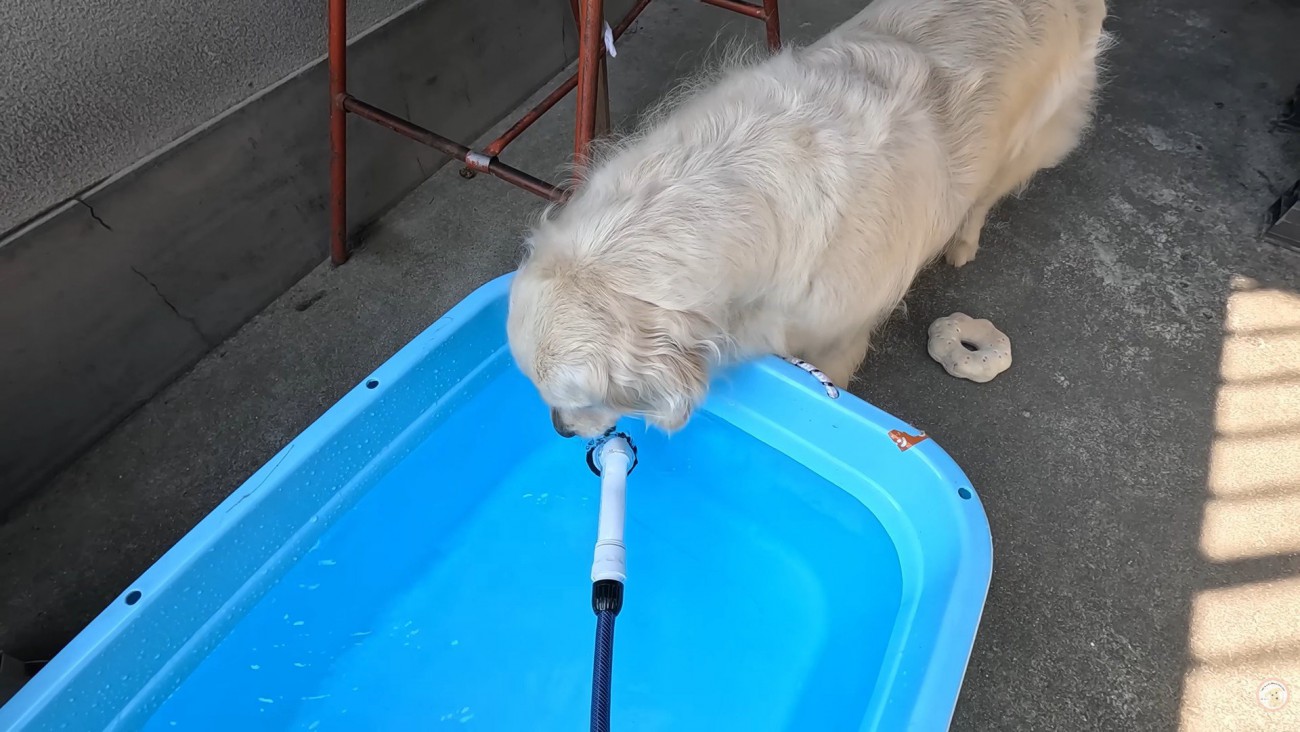 水分補給！