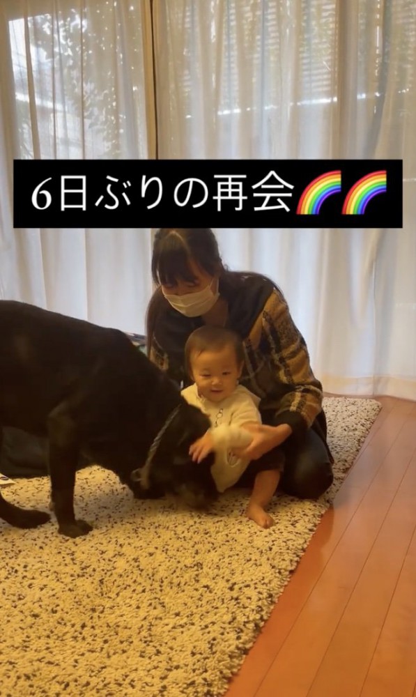 もう一度スリスリ