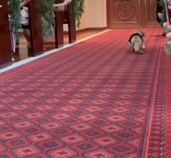 「後ろの人にも挨拶しなきゃ！！」