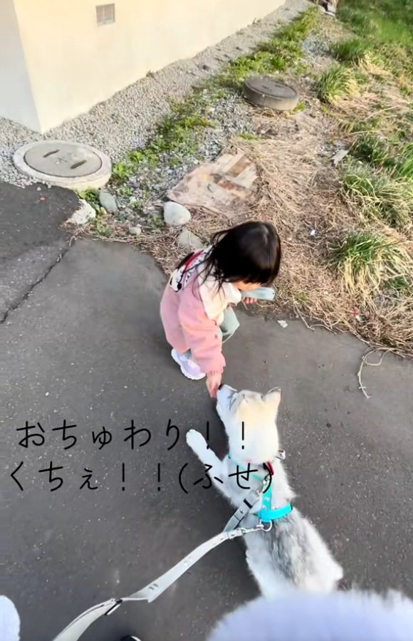 おやつをあげる娘さん