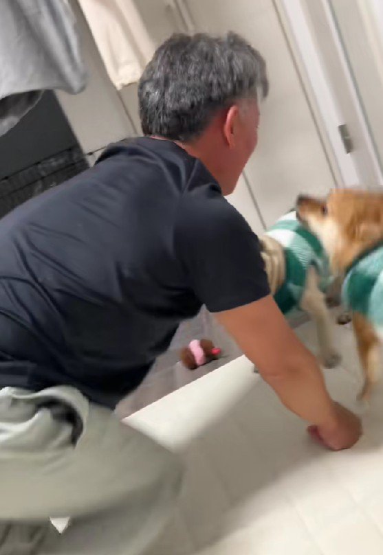 「さっき言ったばかりでしょ！」