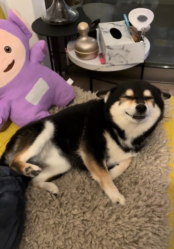 パパを出迎えるさくらちゃん