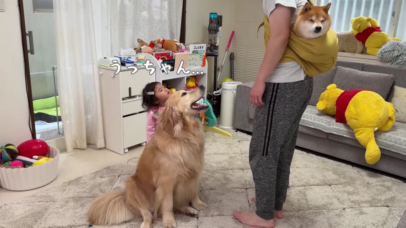 パパにスリングで抱っこされていた