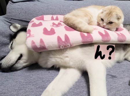 「？」