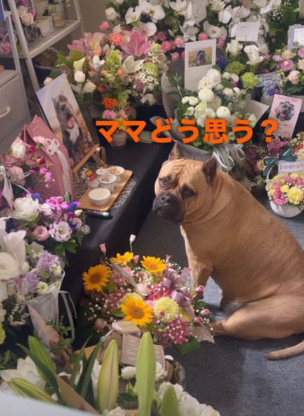 思わず涙がこぼれた
