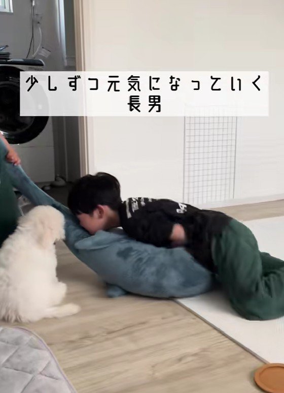 元気を取り戻して…