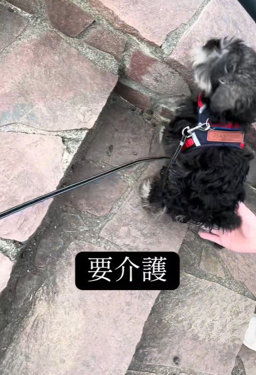 再び介助が必要に…