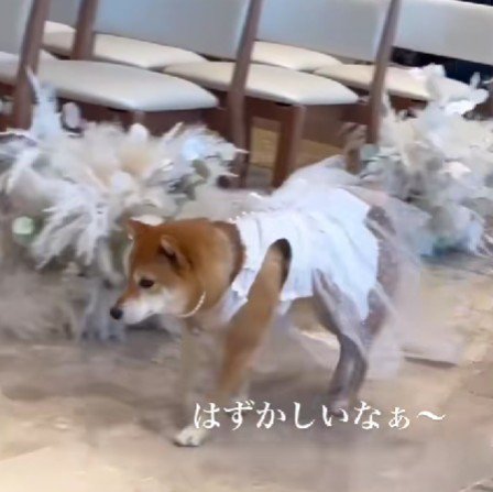 ちょっぴり恥ずかしいけれど…