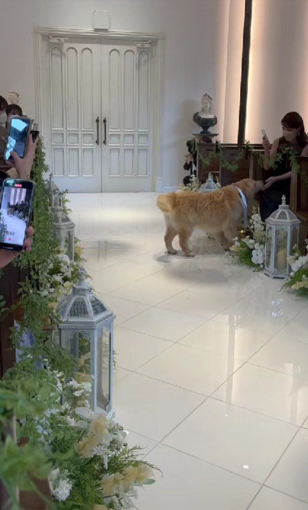 「あなたもありがとう！！」