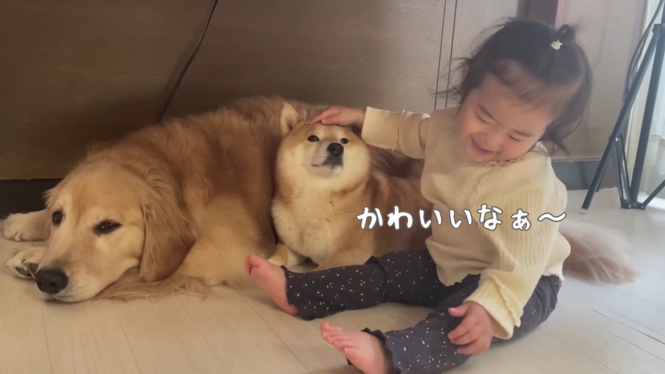 「かわいい～」