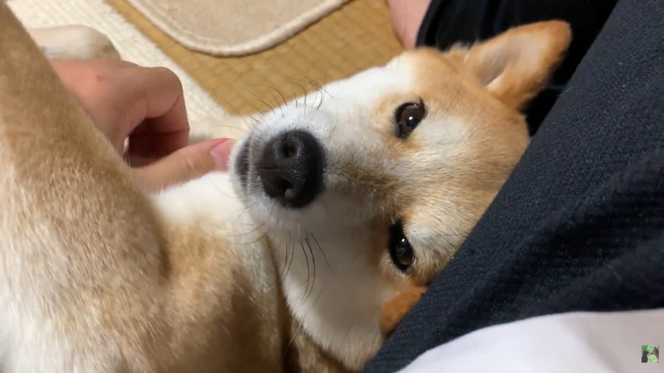 幸せそう♪