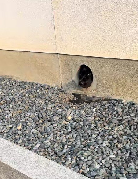 トリックアートみたい！？