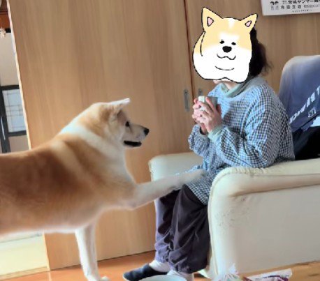 お母さんにおねだり
