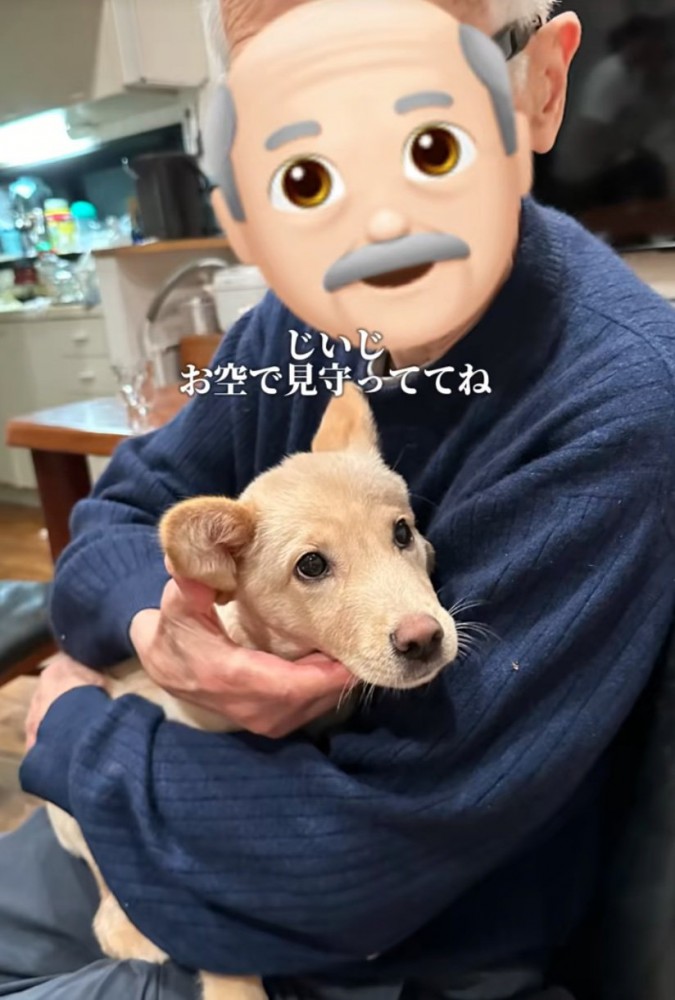 おじいちゃんと犬